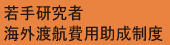 若手助成