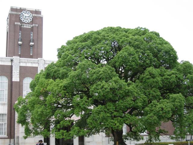 b015.jpg
