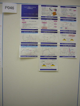 P1020120