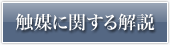 触媒に関する解説