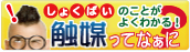 触媒学会のイベント キャタリシス パーク